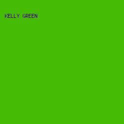 45bb03 - Kelly Green color image preview