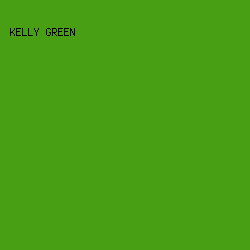 499F14 - Kelly Green color image preview