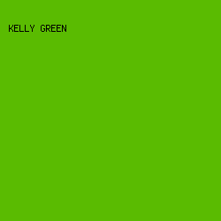 5ABB01 - Kelly Green color image preview