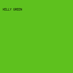 5EC11E - Kelly Green color image preview