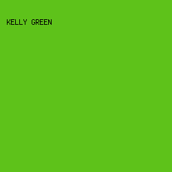5EC21A - Kelly Green color image preview