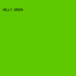 5EC801 - Kelly Green color image preview