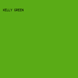 5aab16 - Kelly Green color image preview