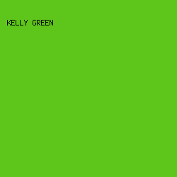 5ec61a - Kelly Green color image preview