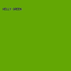 62A704 - Kelly Green color image preview
