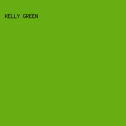 66ae11 - Kelly Green color image preview