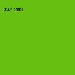 66c010 - Kelly Green color image preview