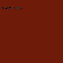 6E1B09 - Kenyan Copper color image preview