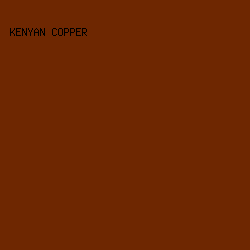 6E2701 - Kenyan Copper color image preview
