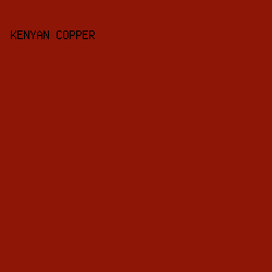 8E1607 - Kenyan Copper color image preview