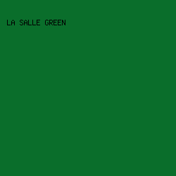 0A6E2B - La Salle Green color image preview