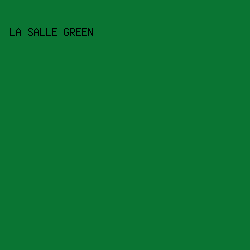 0a7533 - La Salle Green color image preview