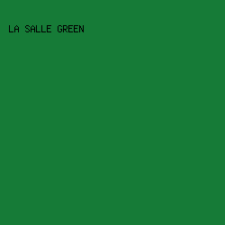 167b37 - La Salle Green color image preview