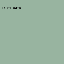 98b4a0 - Laurel Green color image preview