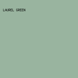 99b49f - Laurel Green color image preview