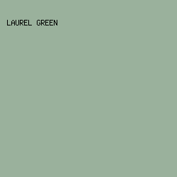 9AB19C - Laurel Green color image preview