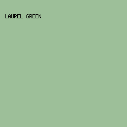 9DBF99 - Laurel Green color image preview