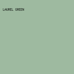 9EBAA0 - Laurel Green color image preview