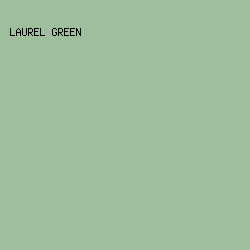 9EBE9C - Laurel Green color image preview