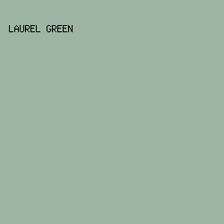 9FB5A3 - Laurel Green color image preview