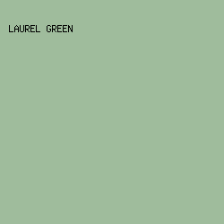 9FBC9C - Laurel Green color image preview