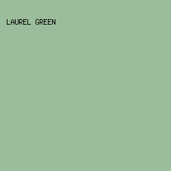9cbd9c - Laurel Green color image preview