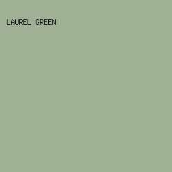 A0B094 - Laurel Green color image preview