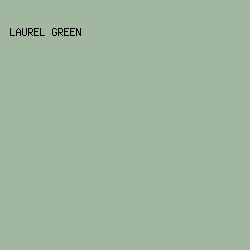 A1B7A0 - Laurel Green color image preview