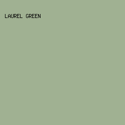 a0b192 - Laurel Green color image preview