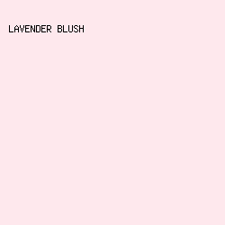 fee8ed - Lavender Blush color image preview