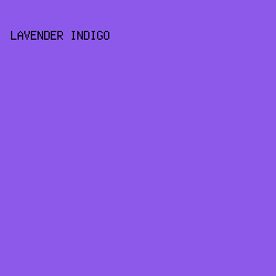 8D59EB - Lavender Indigo color image preview