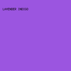 9B55E0 - Lavender Indigo color image preview