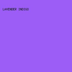 9B5DF6 - Lavender Indigo color image preview