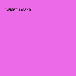 EC69E8 - Lavender Magenta color image preview