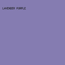 857CAF - Lavender Purple color image preview