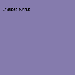 857bad - Lavender Purple color image preview