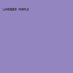 9285C0 - Lavender Purple color image preview