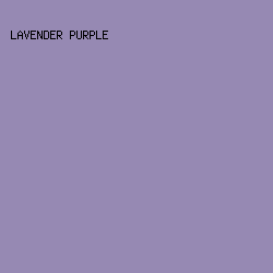 9689B3 - Lavender Purple color image preview