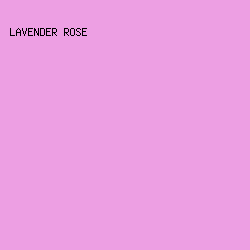 ED9FE3 - Lavender Rose color image preview