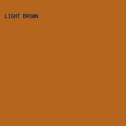 b4651d - Light Brown color image preview
