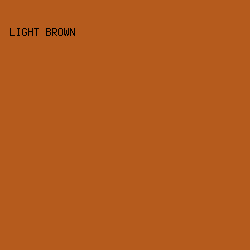 b55b1d - Light Brown color image preview
