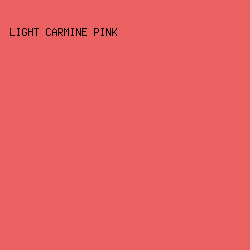 EB6060 - Light Carmine Pink color image preview
