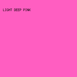 FF5EC1 - Light Deep Pink color image preview