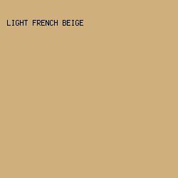 CFAF7B - Light French Beige color image preview