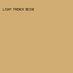 D1AD74 - Light French Beige color image preview