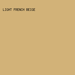 D2B278 - Light French Beige color image preview