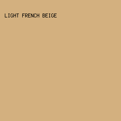 D3B07F - Light French Beige color image preview