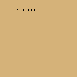 D5B279 - Light French Beige color image preview