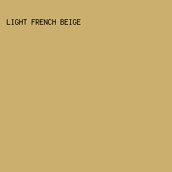 cbaf6f - Light French Beige color image preview