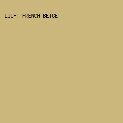 cbb67c - Light French Beige color image preview